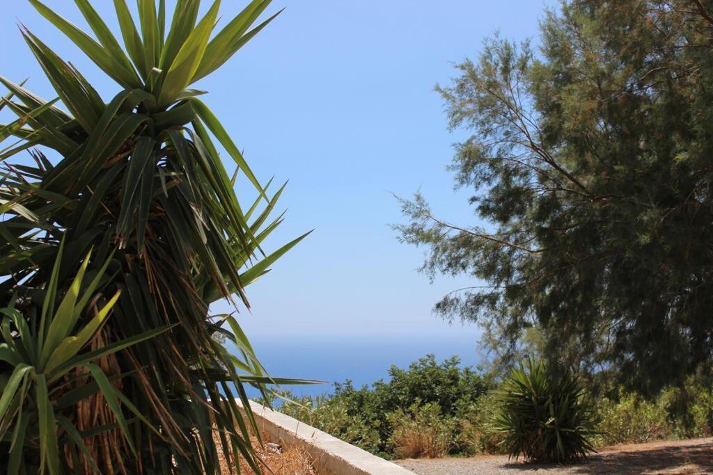 Paterakis * Triopetra